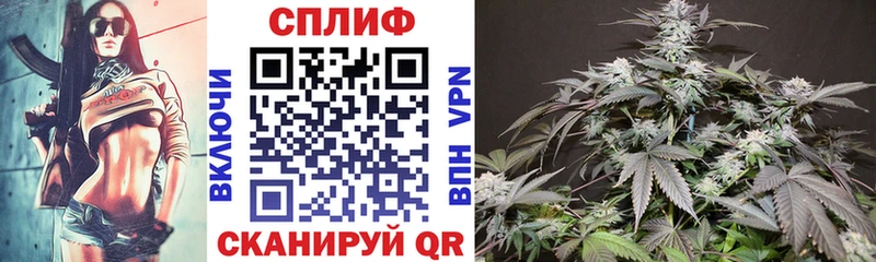 Где купить наркоту Новоалтайск A-PVP  ТГК  ГАШ  Марихуана  Кокаин  Бутират 