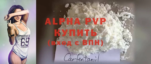 хмурый Новозыбков
