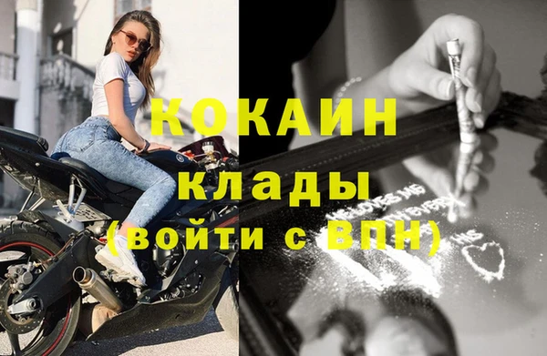 хмурый Новозыбков