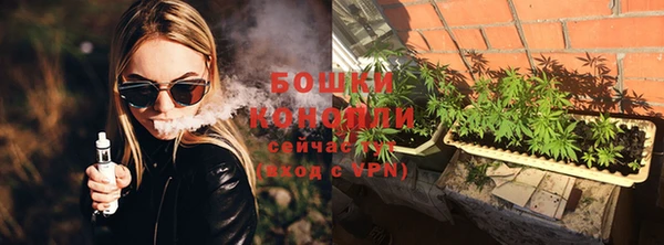хмурый Новозыбков