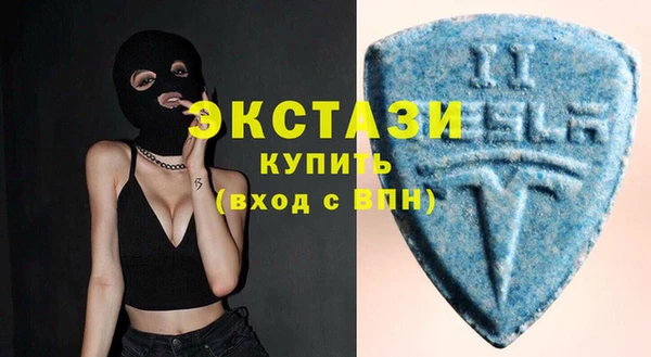 хмурый Новозыбков