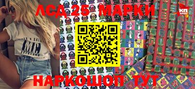 крисы Абакан