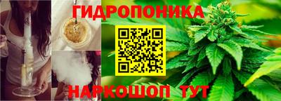 mdma Дубна