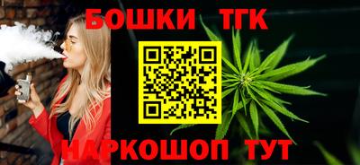 крисы Абакан