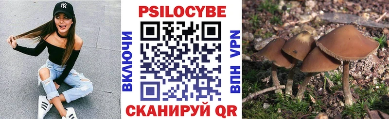 Псилоцибиновые грибы Magic Shrooms  Новоалтайск 