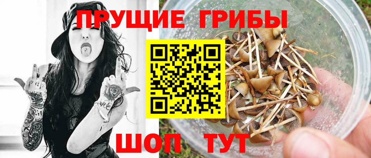 Псилоцибиновые грибы прущие грибы  Вход с VPN  Новоалтайск 