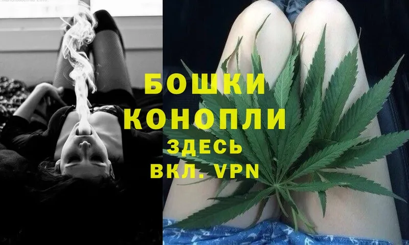 магазин продажи   Новоалтайск  Конопля SATIVA & INDICA 